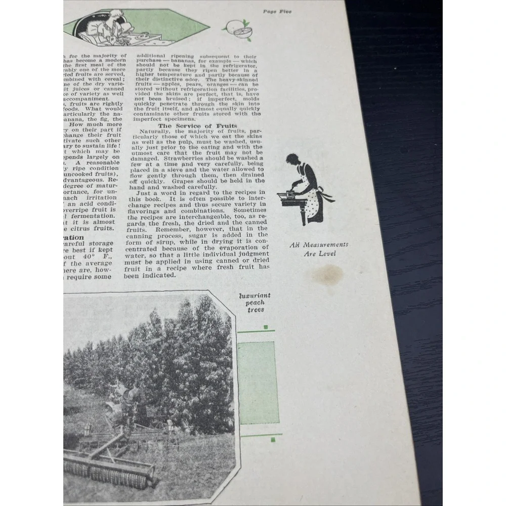 1928 The‎ Fruit Book Woman's World Magazine Recipe Booklet Vintage